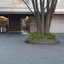 グランドメゾン三軒茶屋の杜のエントランス