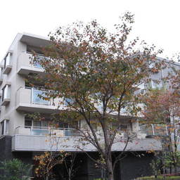 グランレーヴ大森蘇峰公園