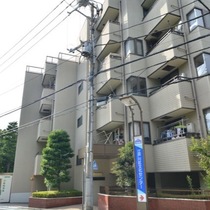 プリムローズ